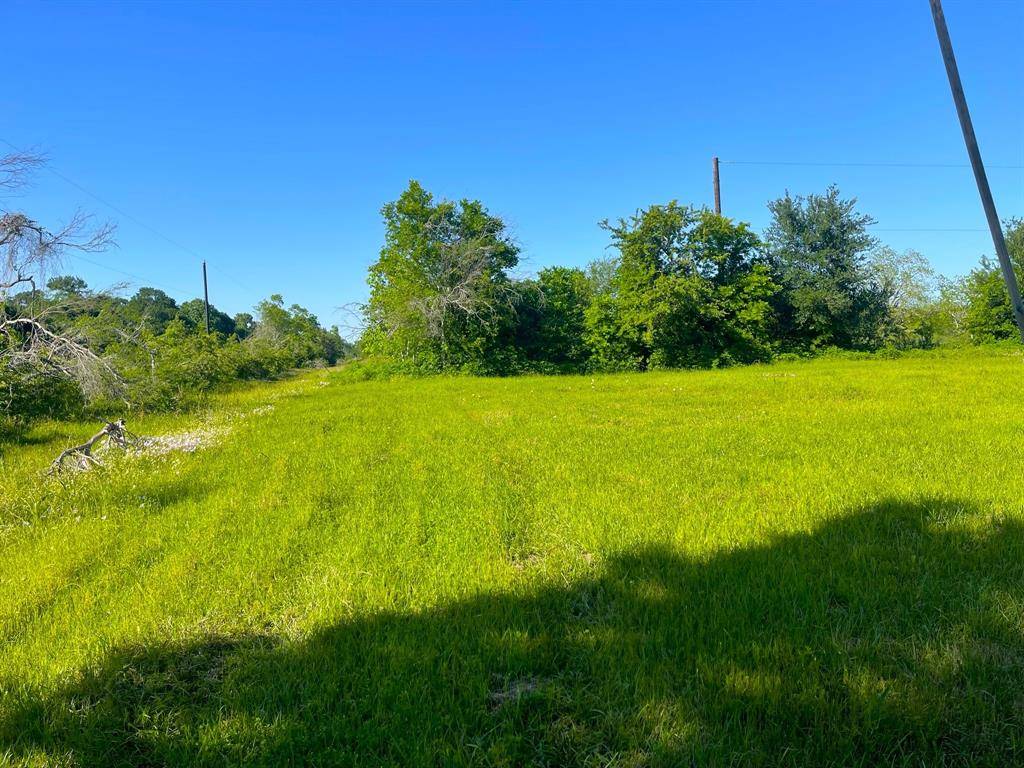 Wharton, TX 77488,LOT 14 Reed AVE