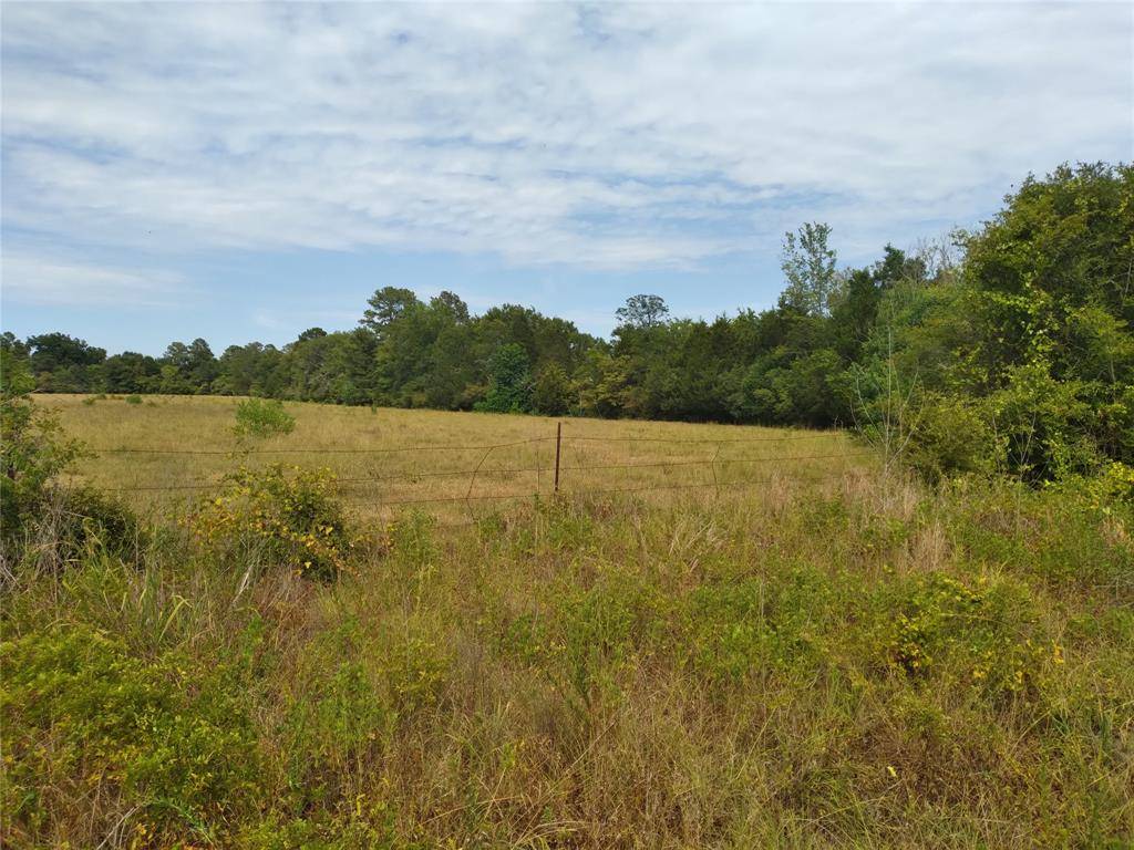 Lovelady, TX 75851,TBD2 FM 230