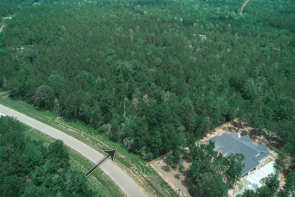 Willis, TX 77378,15816 Wooded Trail WAY