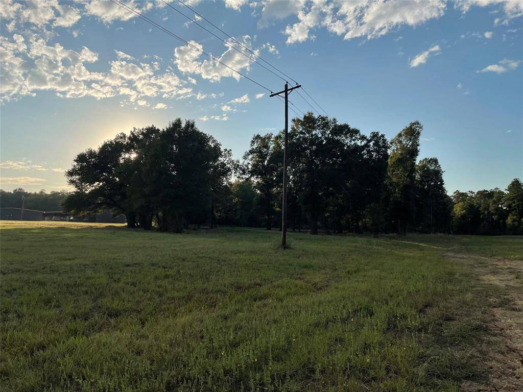 Livingston, TX 77351,TBD Farm Road 3126