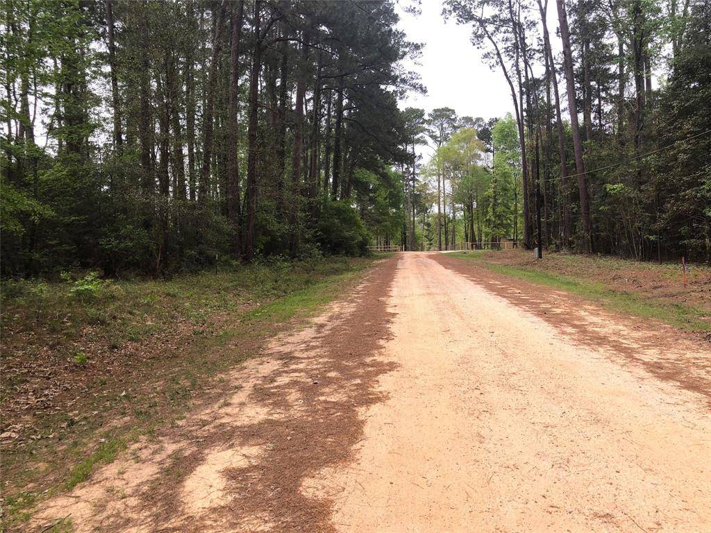 Coldspring, TX 77331,Lot 512 Pine Shadow DR