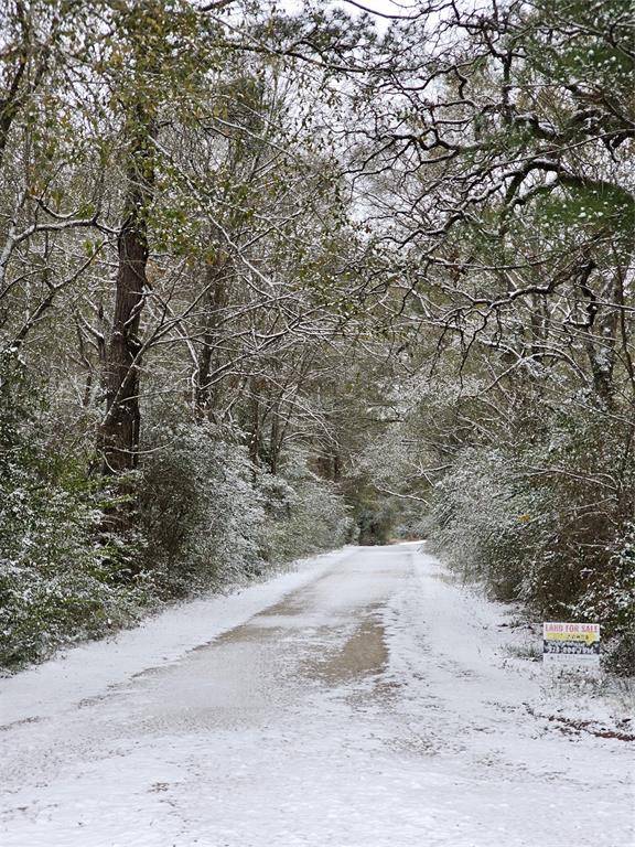 Plantersville, TX 77363,8.5 Acres CR 209