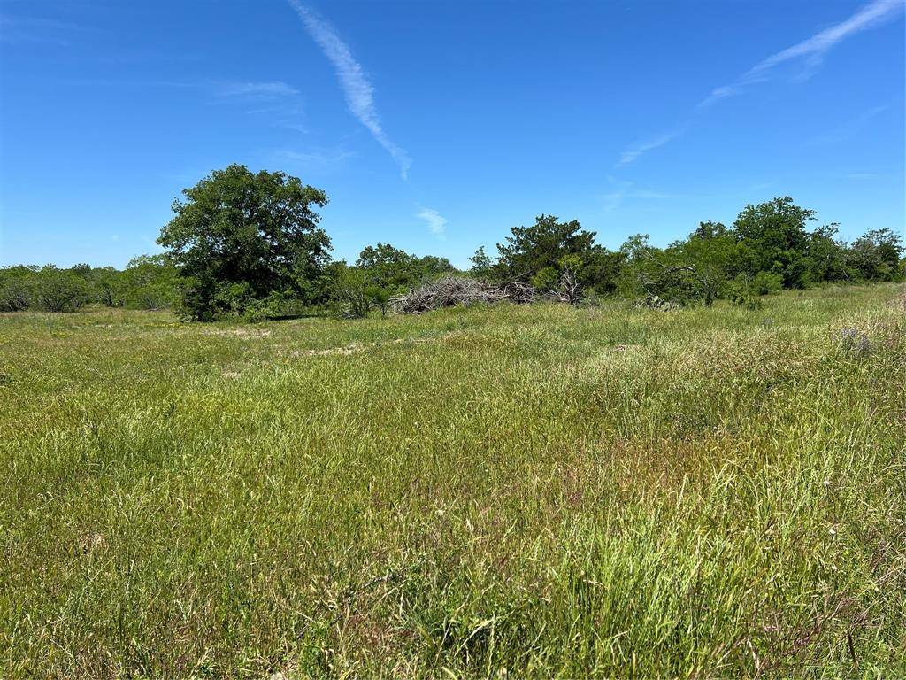 Gonzales, TX 78629,Tract 4 CR 482