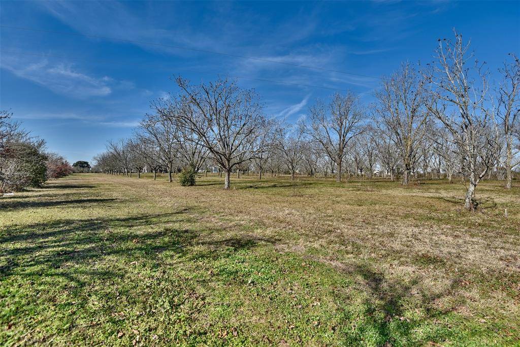 Brenham, TX 77833,00 FM 50