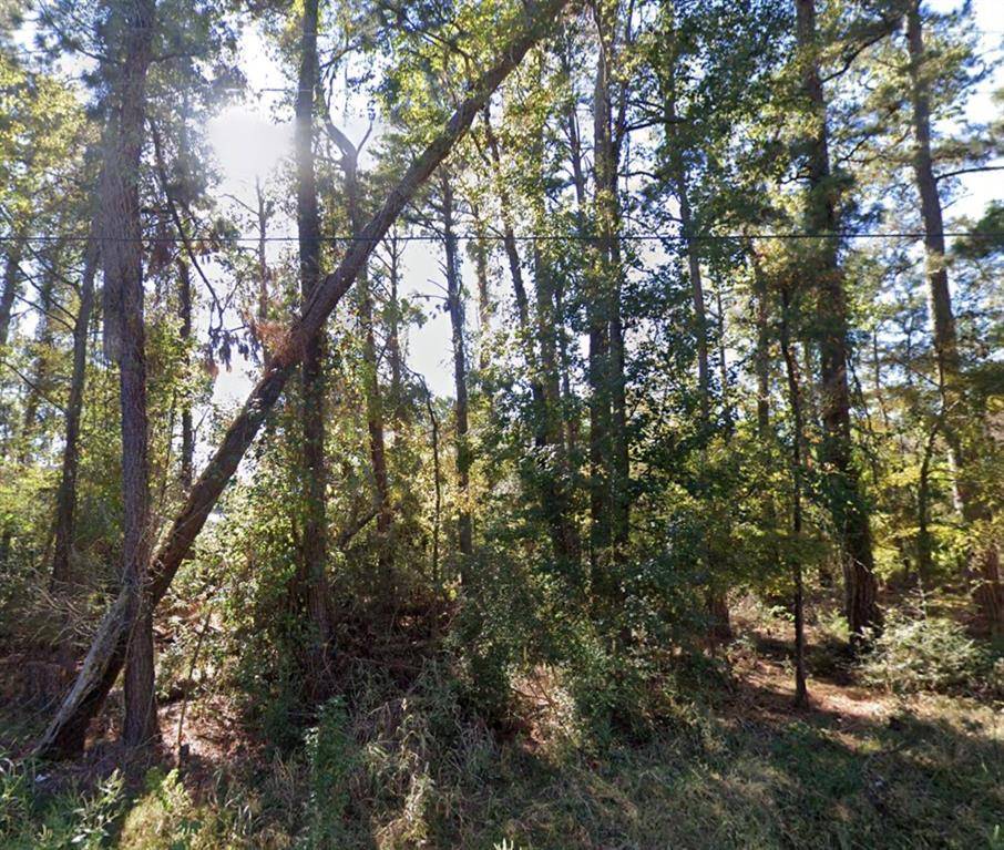 Onalaska, TX 77360,TBD Parkview Dr DR