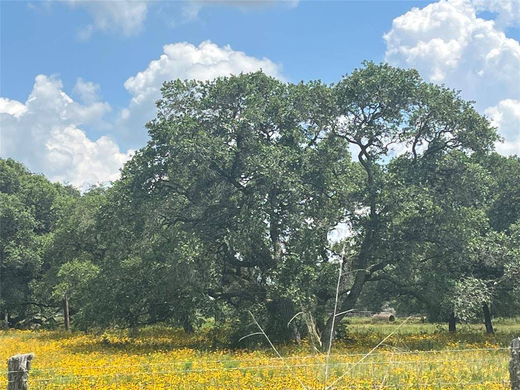 Altair, TX 77412,1288 Forest Oaks DR