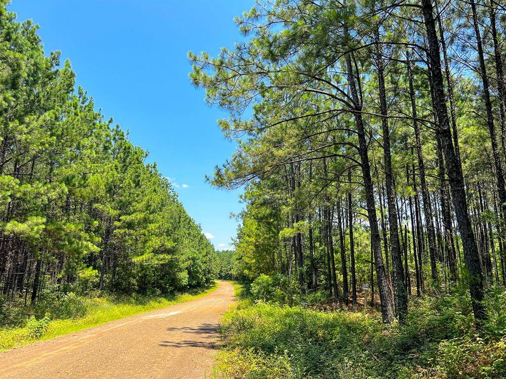 Milam, TX 75948,07 Bayou Road