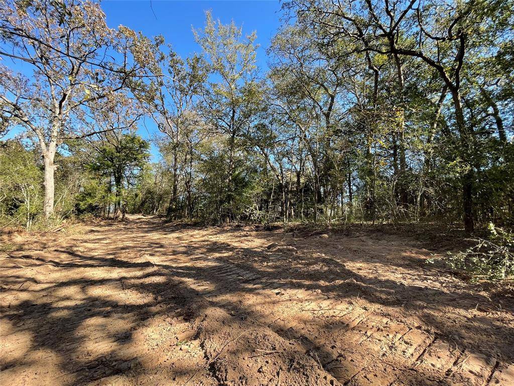 Buffalo, TX 75831,TBD Tract 3 HWY 75