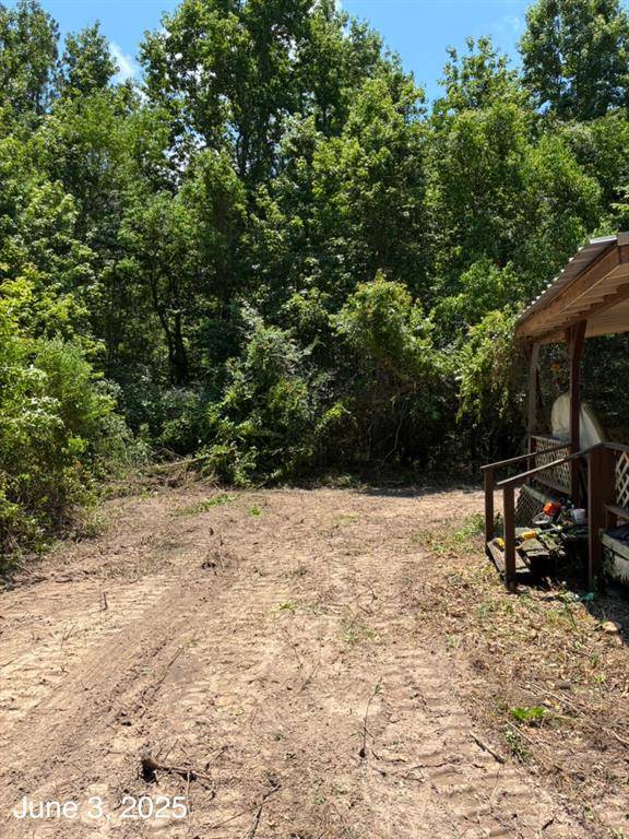 Goodrich, TX 77335,154 Coy Dodson RD