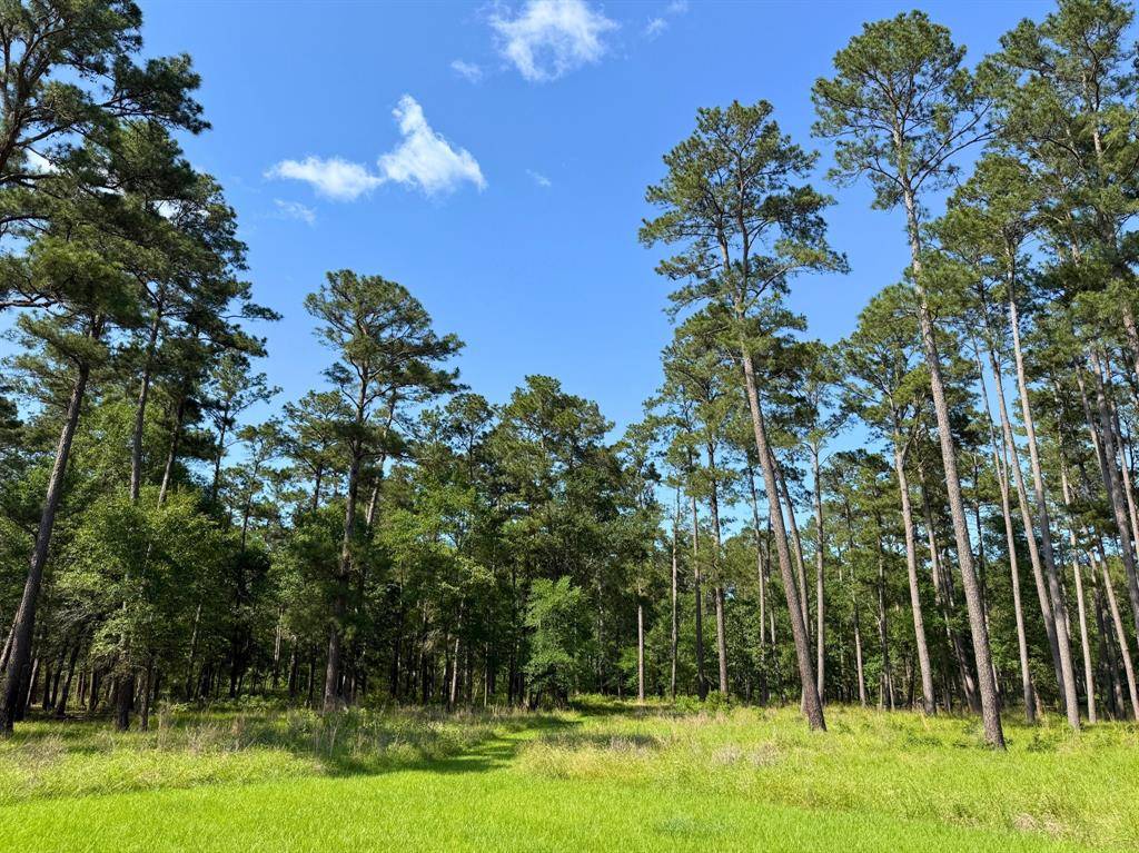 Richards, TX 77873,000 FM 1791
