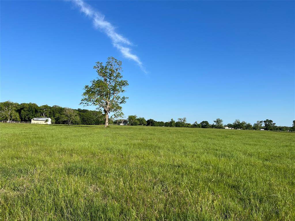 Wharton, TX 77488,520 CR 150 LN
