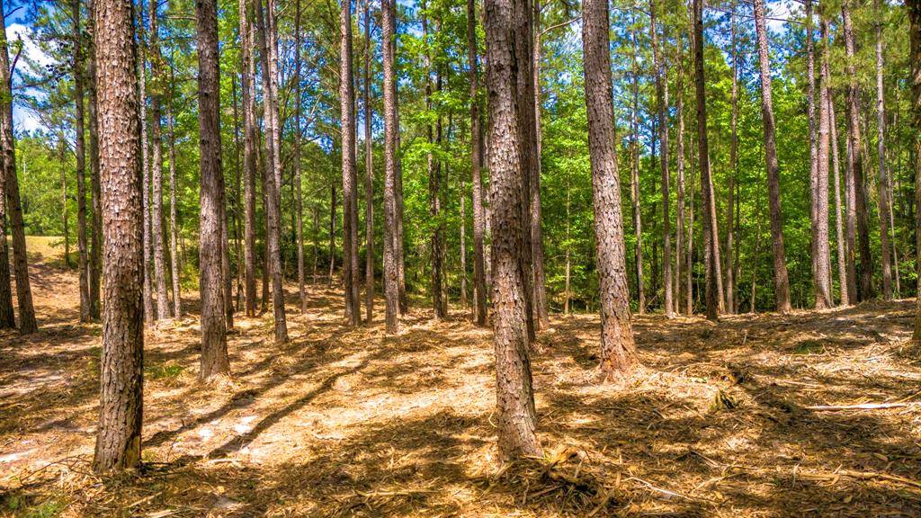 Nacogdoches, TX 75961,TBD Park St