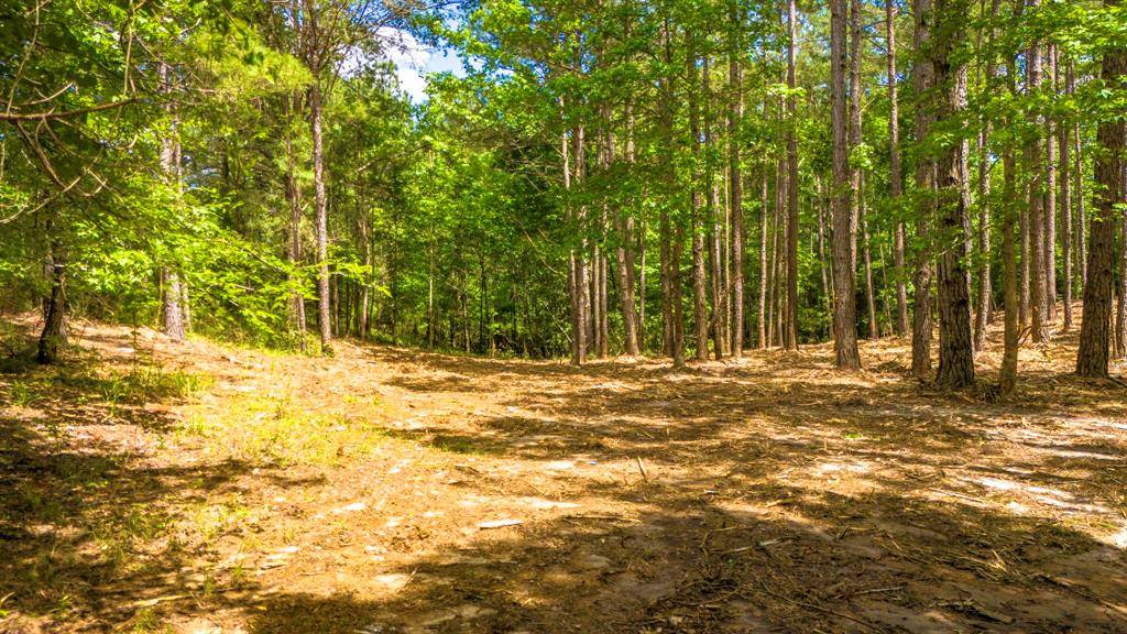Nacogdoches, TX 75961,TBD Park St