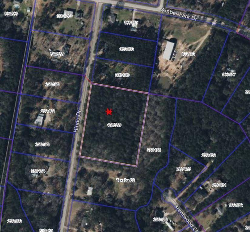 Conroe, TX 77303,TBD Hindo