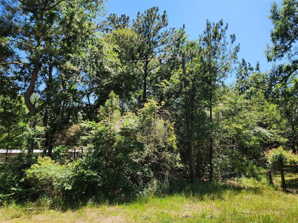 Plantersville, TX 77363,Lot 10 Sweetleaf LN