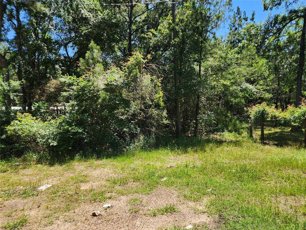 Plantersville, TX 77363,Lot 10 Sweetleaf LN