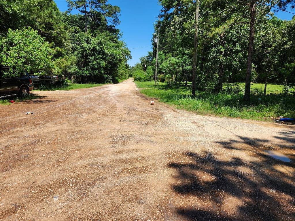 Plantersville, TX 77363,Lot 10 Sweetleaf LN