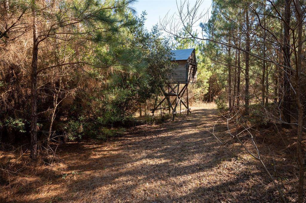 Hillister, TX 77624,TBD County Road 4494