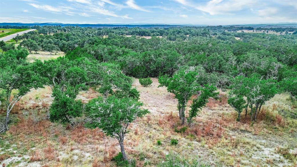 Johnson City, TX 78636,LOT 88 E Leaning Madrone Dr