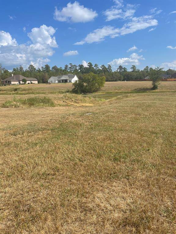 Montgomery, TX 77356,18803 Serene Water DR
