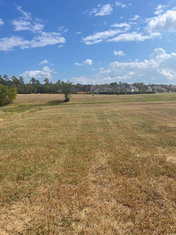 Montgomery, TX 77356,18803 Serene Water DR