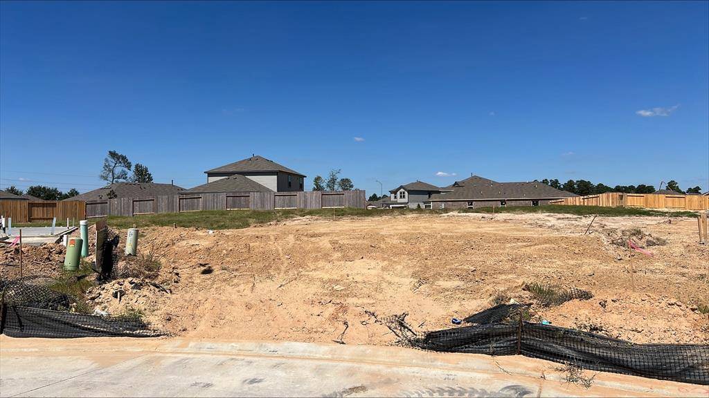 Magnolia, TX 77354,8010 Camphor CT