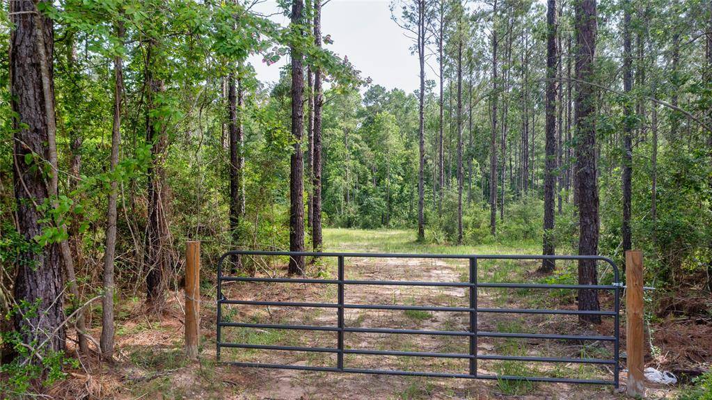 Livingston, TX 77351,Tract 2 FM 942
