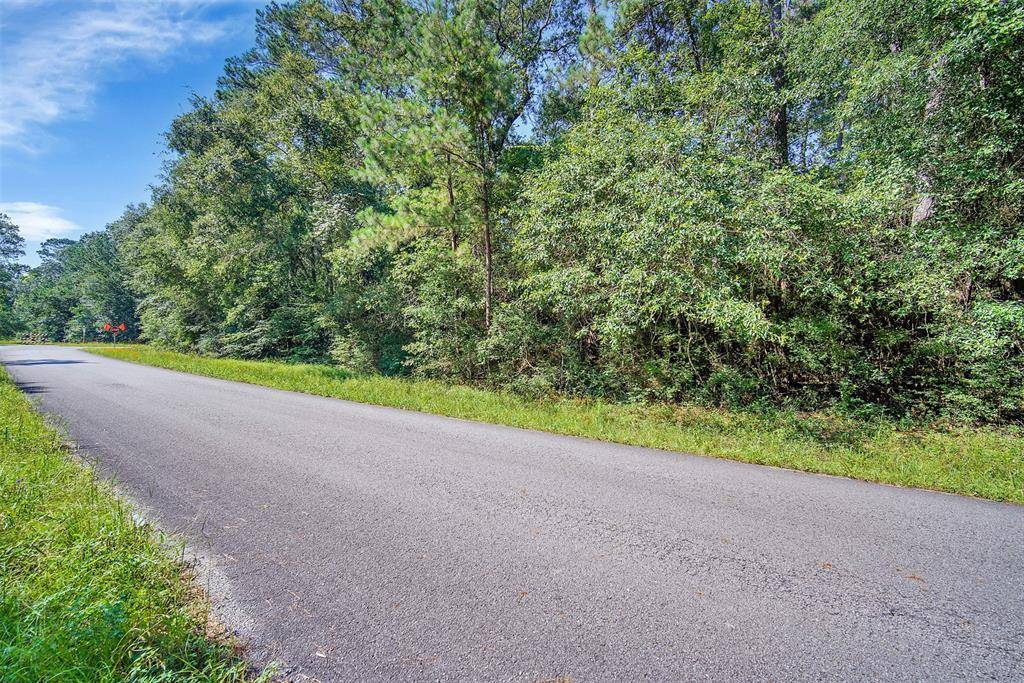 Roman Forest, TX 77357,Lot 15 Appian Way