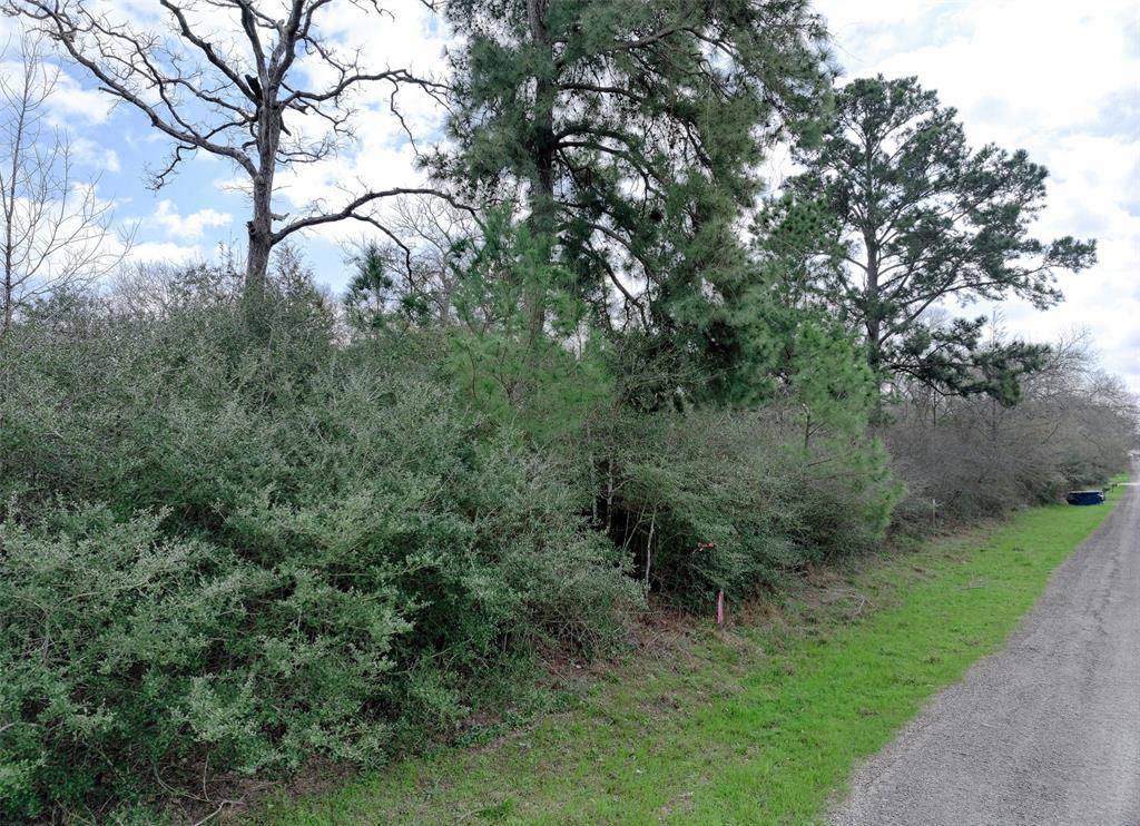 Hempstead, TX 77445,TBD SHANNON
