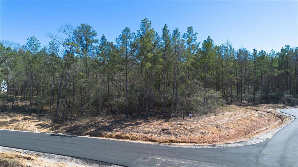 Montgomery, TX 77316,4521 Marfa CT
