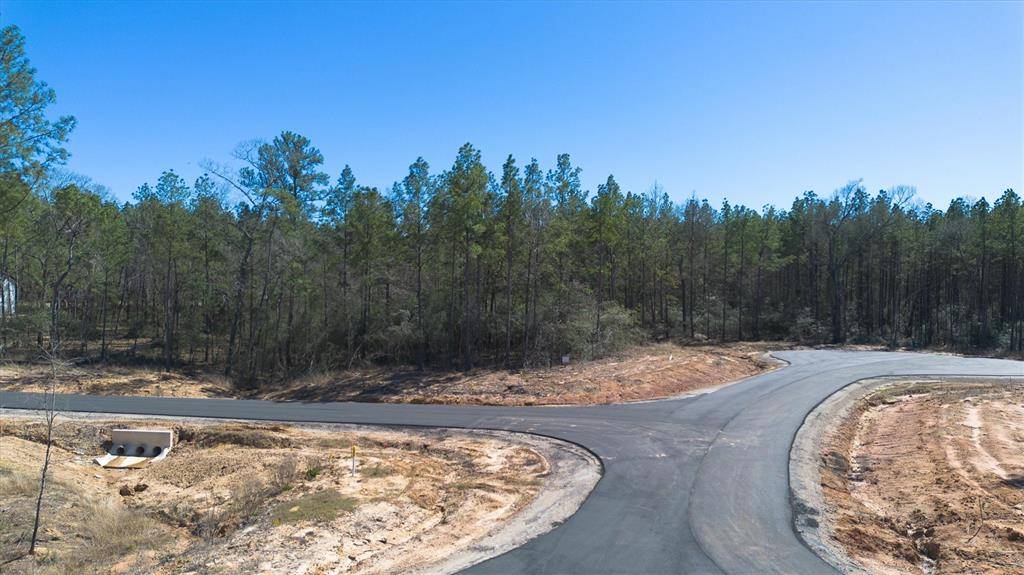 Montgomery, TX 77316,4521 Marfa CT