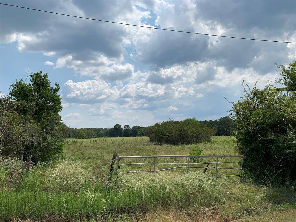 Livingston, TX 77351,0 Easement RD