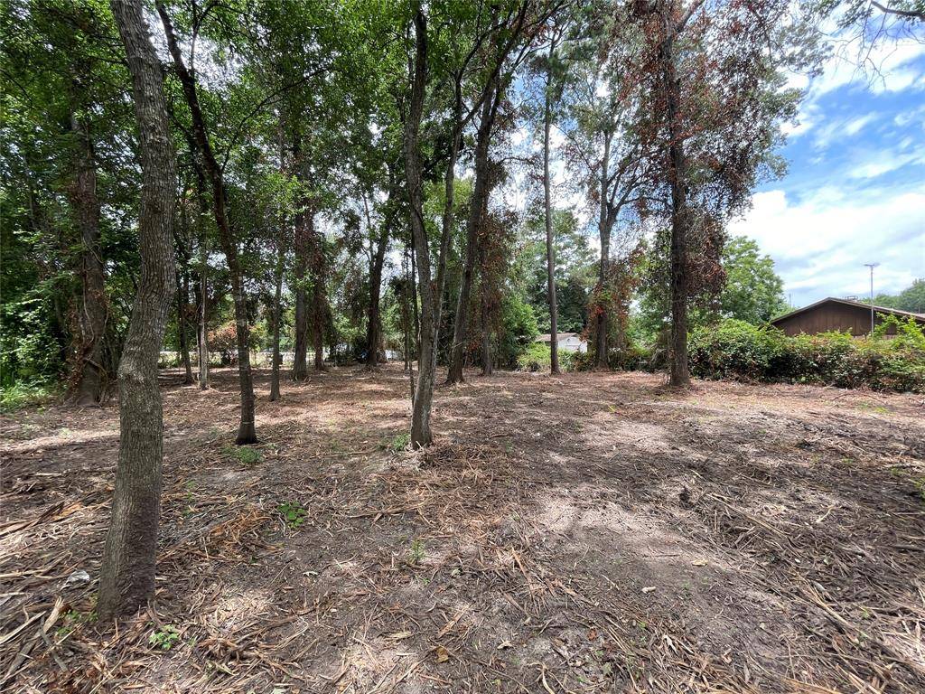 Conroe, TX 77302,00 Woodridge DR
