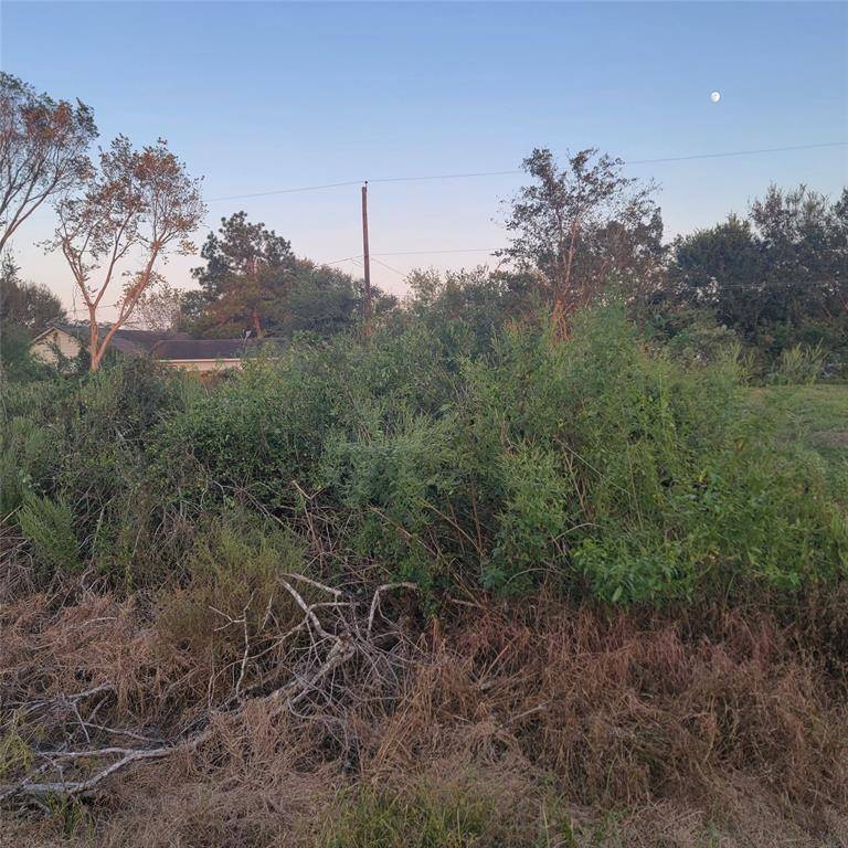 Arcola, TX 77583,5915 Ladonia ST