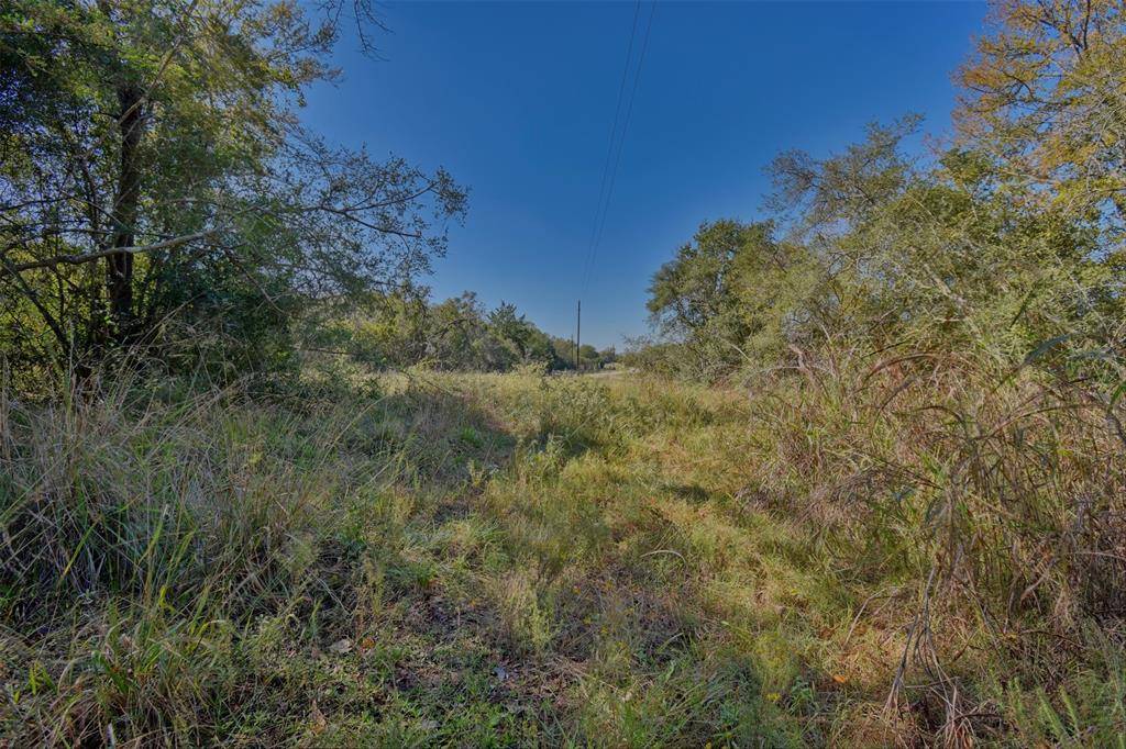 Chappell Hill, TX 77426,2567 Woodland Ranch LN