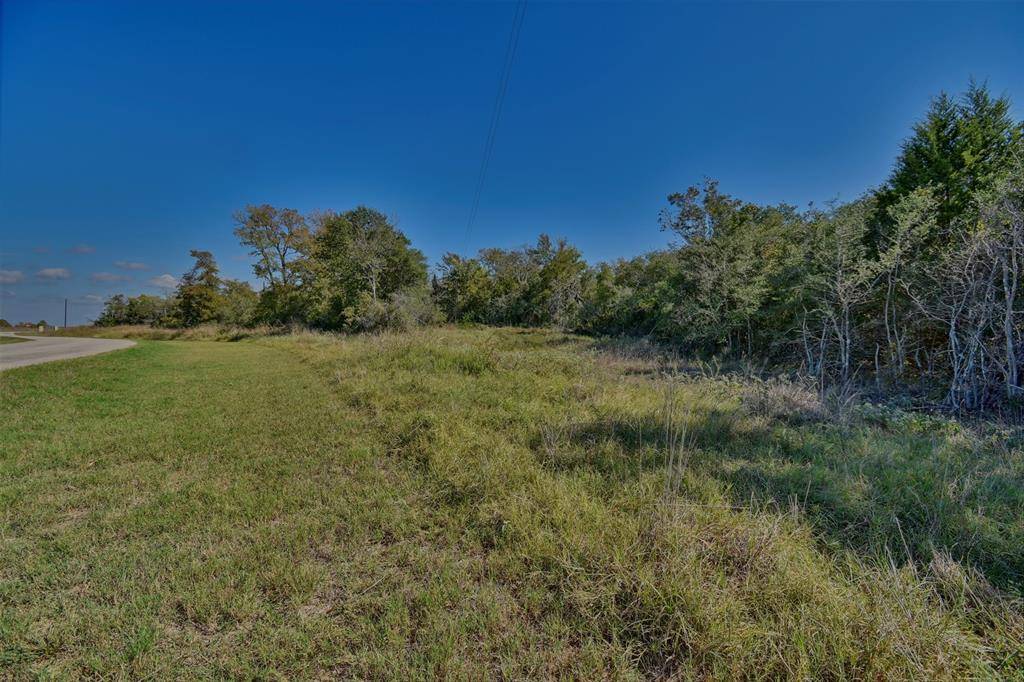 Chappell Hill, TX 77426,2567 Woodland Ranch LN