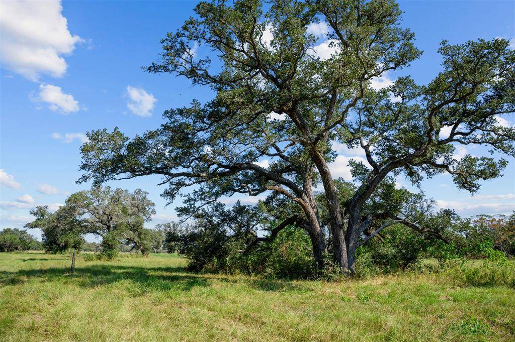 Columbus, TX 78934,Lot 9 Legacy Oaks Ln