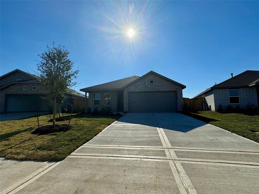 Katy, TX 77493,26647 Pampas Grass LN