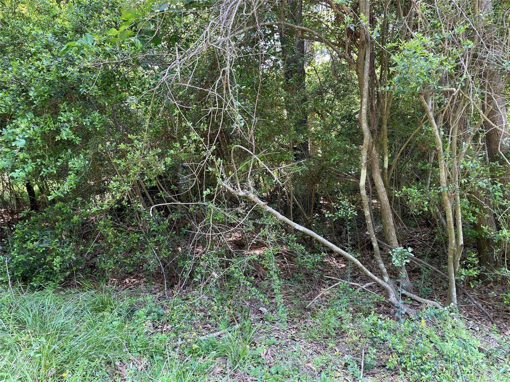 Onalaska, TX 77360,366 & 374 Rain Forest RD
