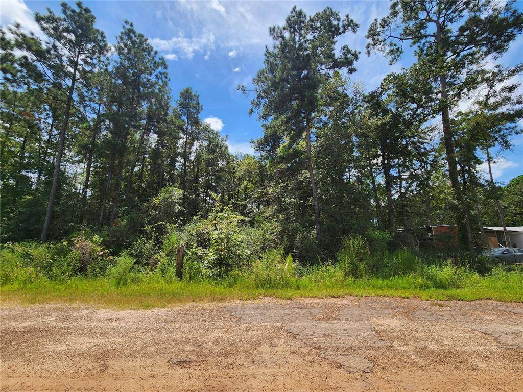 Plantersville, TX 77363,Lot 4 Coral Bean LN