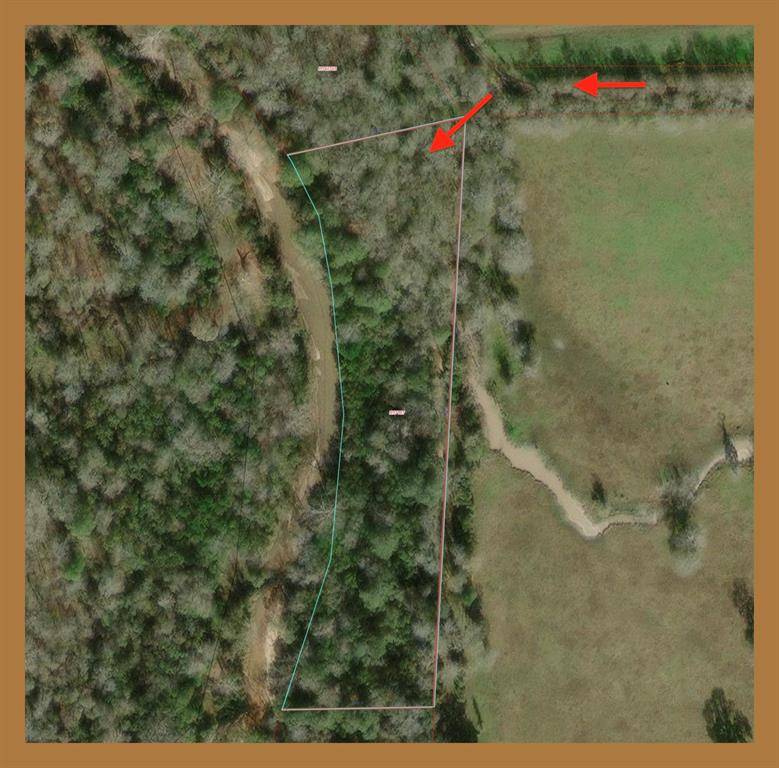 Wallis, TX 77485,000 Timber Lot