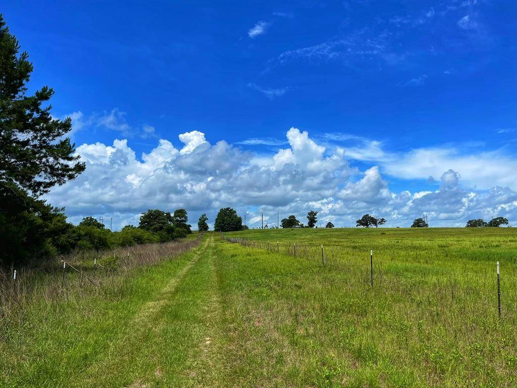 Centerville, TX 75833,19.53 ac PR 2061