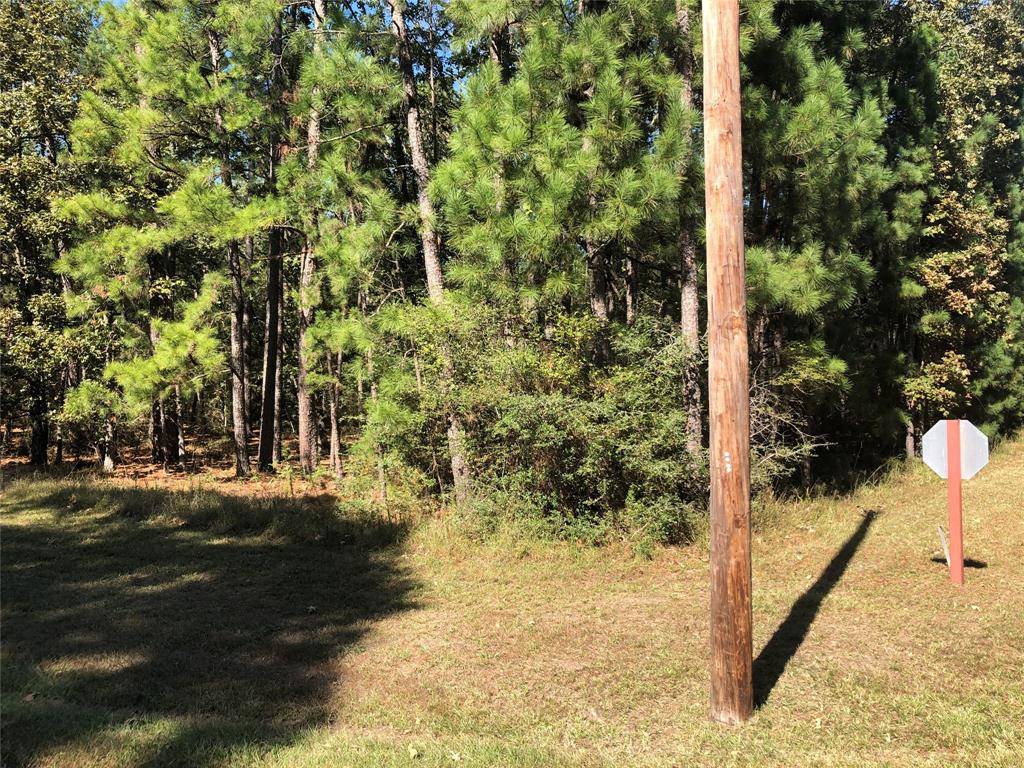 Huntsville, TX 77320,Lot 29 Tall Pine Lane