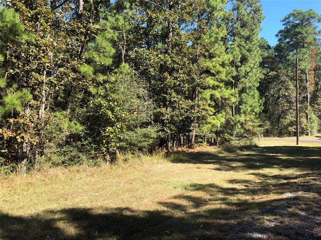 Huntsville, TX 77320,Lot 29 Tall Pine Lane