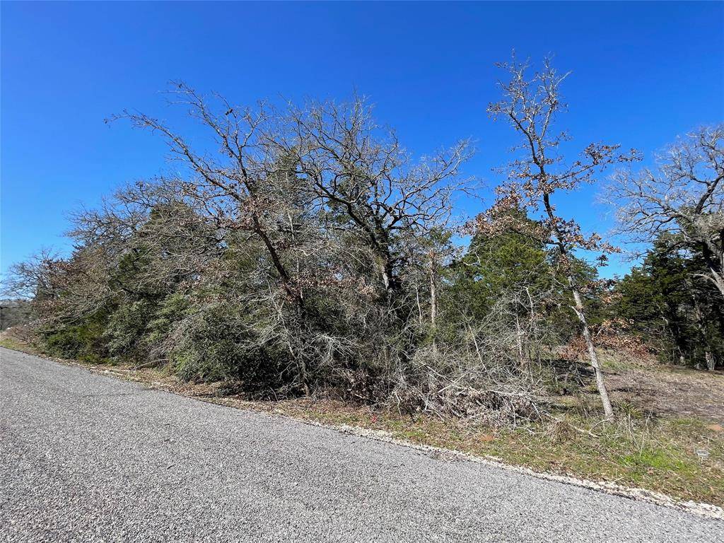 Smithville, TX 78957,354 & 355 Lots Navaho