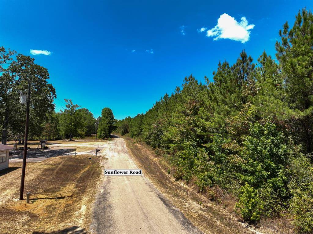 Livingston, TX 77351,00 Sunflower Road