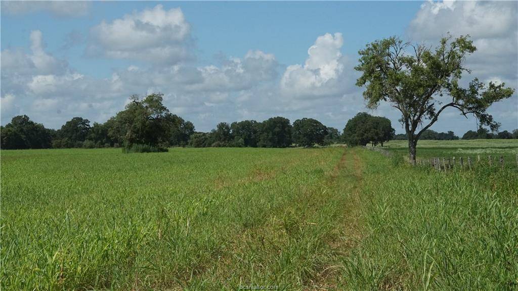 Snook, TX 77878,TBD CR 268