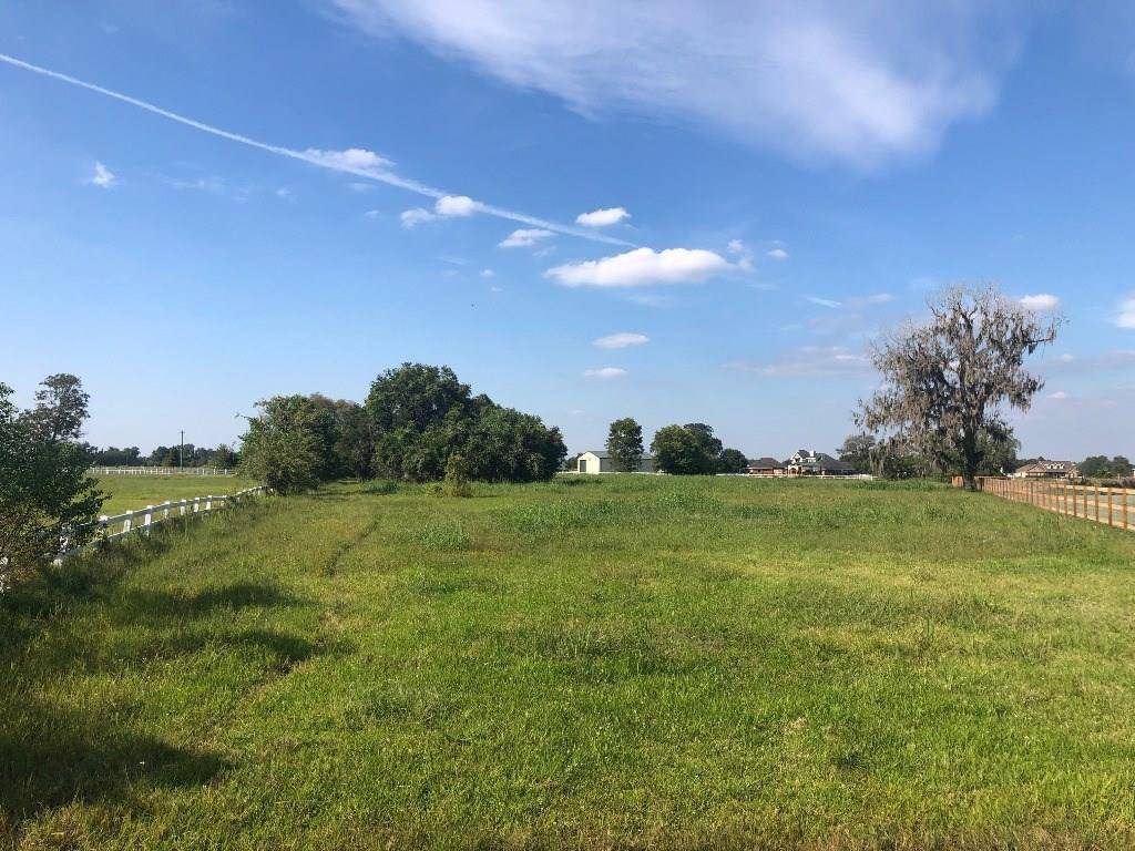Rosharon, TX 77583,2934 Horse Trail DR