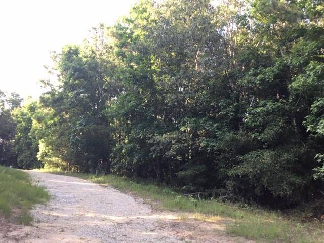 Onalaska, TX 77360,272 Artesian