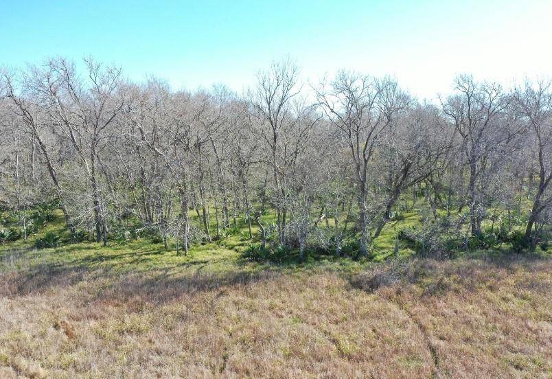 Cedar Lane, TX 77415,000 County Road 153 Sims RD